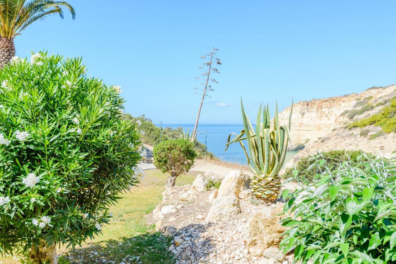 קארבואירו The Little Paradise With Sea Views מראה חיצוני תמונה